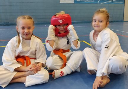 Junior Kyokushin Cup Junior Kyokushin Cup